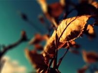 巨蟹座爱八卦吗