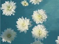 张盛舒一周健康运(10.9-10.15）