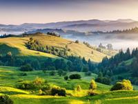 紫微斗数天府星2018年运势