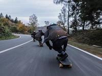 占卜你的社交能力能打几分