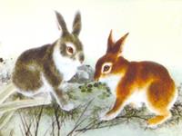 李云天2018年生肖兔运势