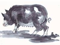 李云天2018年生肖猪运势