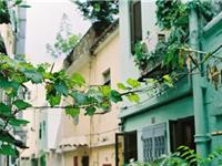 紫微斗数天府星2017年11月爱情运势