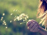 就算受伤也要逞强的星座