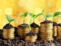 年底时刻财运大涨，数钱数到手抽筋的四大生肖