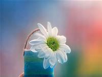 能修能补就不换，这些星座很节俭