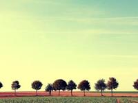 外号“职场拖拉机”的星座