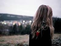 郑博士2017年11月生肖猴财运