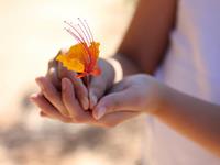 巨蟹座的最大特点，巨蟹座的最大特征