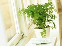 摩羯座的最大特点，摩羯座的最大特征