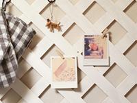 双鱼座最抠（省钱）的地方在哪