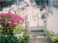 熊神进一周吉时吉事提点（10.28-11.3）