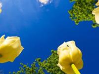 盘点：一辈子不需要吃很多苦的星座