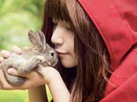 11月份好运大涨的三大生肖