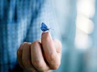 寂多蔓生2017年11月处女座运势