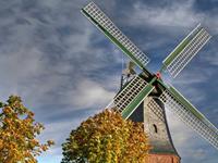 摩羯座会纠结一整天的事