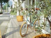 柒爸2017年11月巨蟹座运势