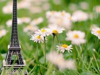 感情没了就分手，不爱用谎言维持的星座