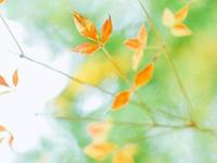 盘点：非常抵触相亲的星座