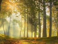 盘点：能够爬出暧昧坑的星座