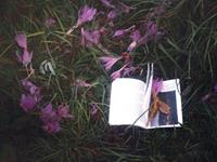 白羊座在谁面前比较放得开