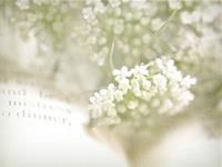 泓翔2017年11月生肖鸡事业运势