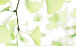 容易姐弟恋的星座