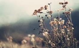 怎么让十二星座联系你（上）