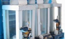 看起来浪荡不羁，实则用情专一的星座