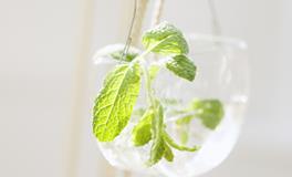 当12星男看到P过头的女生照片