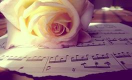 处女座最令人讨厌的地方