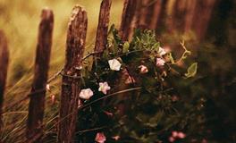 隐藏之深，难以让人了解的星座