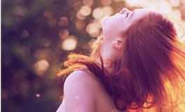 铃兰一周塔罗事业运势（11.20.-11.26）