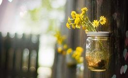 感恩节，12星座最感恩谁