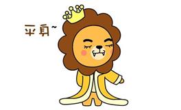 狮子座的正确饲养指南