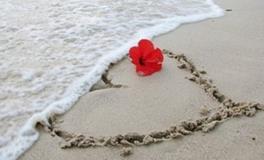 金牛座最受不了的10件事