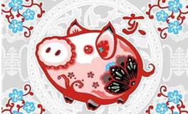 泓翔2018年生肖猪学业运势