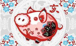 泓翔2018年生肖猪人际关系运势