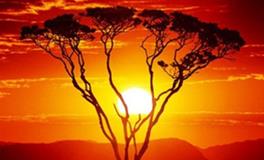 摩羯座的诗和远方