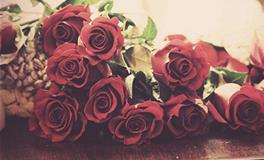 吴宽之2018年生肖狗运势