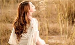 12月中旬大显身手，事业步步高升的生肖