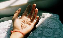 羲邑师姐2018年生肖猪运势