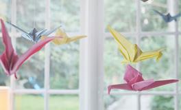 12星座哪一点可以洗白