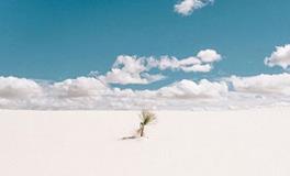 SoporKiddo一周塔罗运势预测（1.1-1.7）