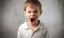 盘点脾气最暴躁的生肖