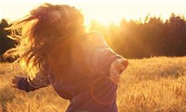 七星堂一周生肖鸡运势（1.8-1.14）