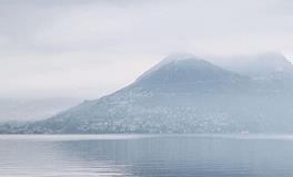 紫微14主星一周运势（1.8-1.14）