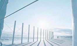 紫微14主星一周运势（1.15-1.21）