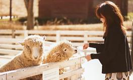 这几个星座老板发年终奖最大方