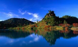 巨蟹座最无法接受的打击